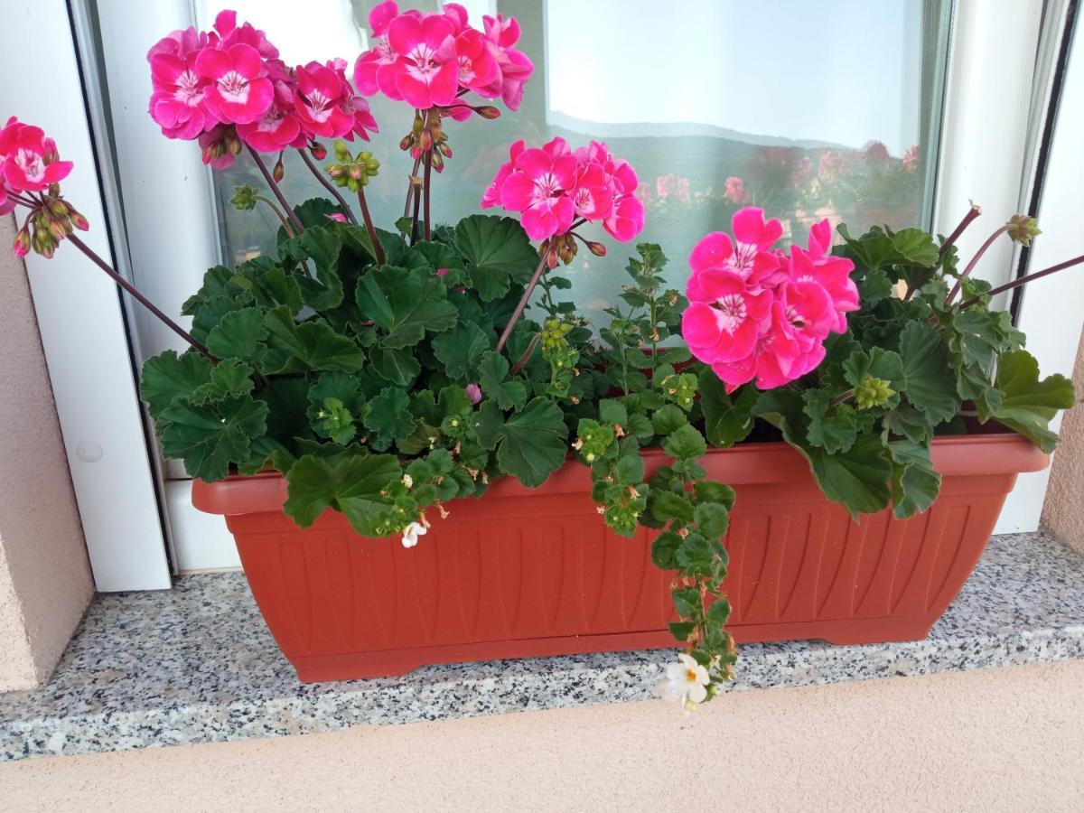Apartman Vidovic Apartment Korenica Luaran gambar
